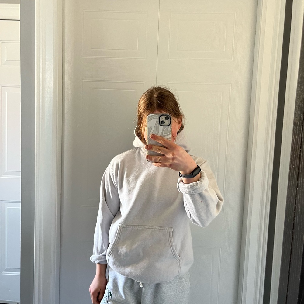 Aritzia Hoodie